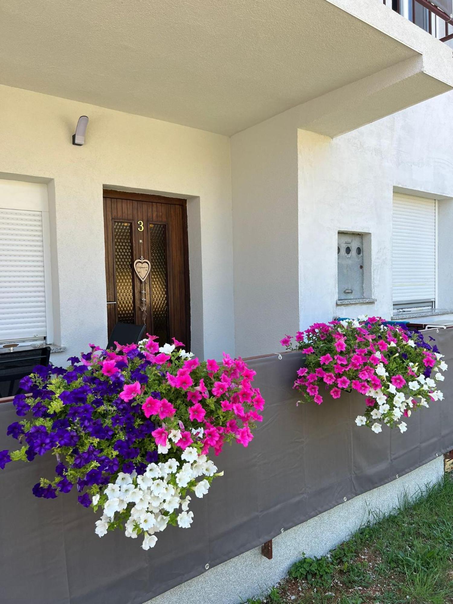 3Level Apartments Kroatien Умаг Екстер'єр фото
